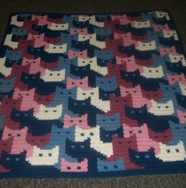 Cats Afghan