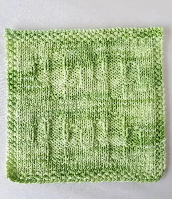 Little Cactus Washcloth