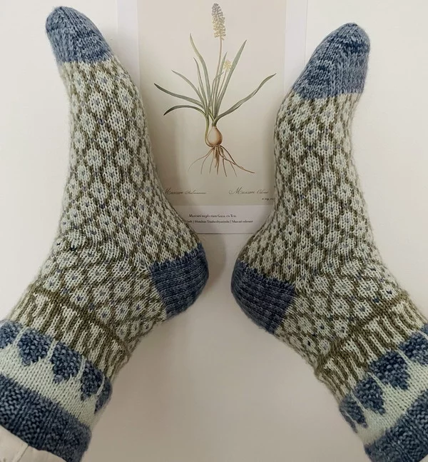 Muscari Socks Chart