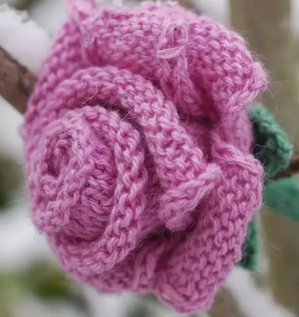 Rose Free Knitting Pattern